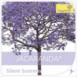 Silent Summer
