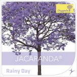 Rainy Day