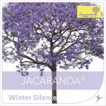 Winter Silence
