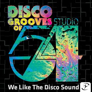 We Like The Disco Sound